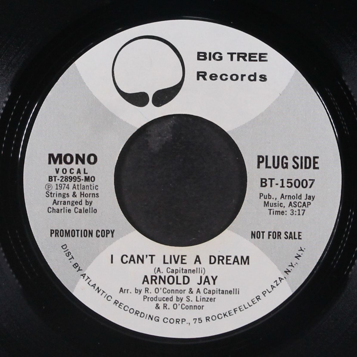 i can't live a dream by ARNOLD JAY