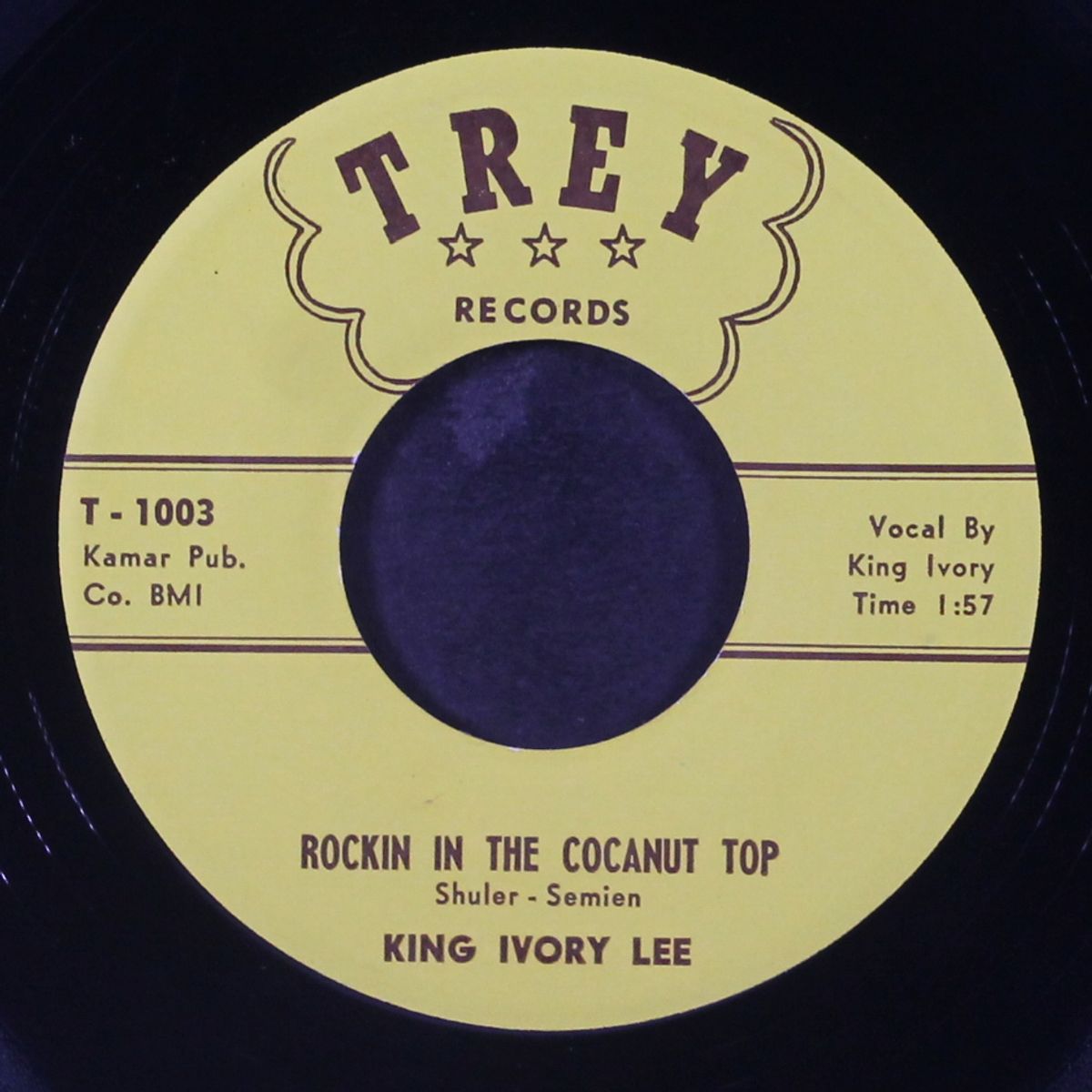 rockin in the cocanut top by KING IVORY LEE