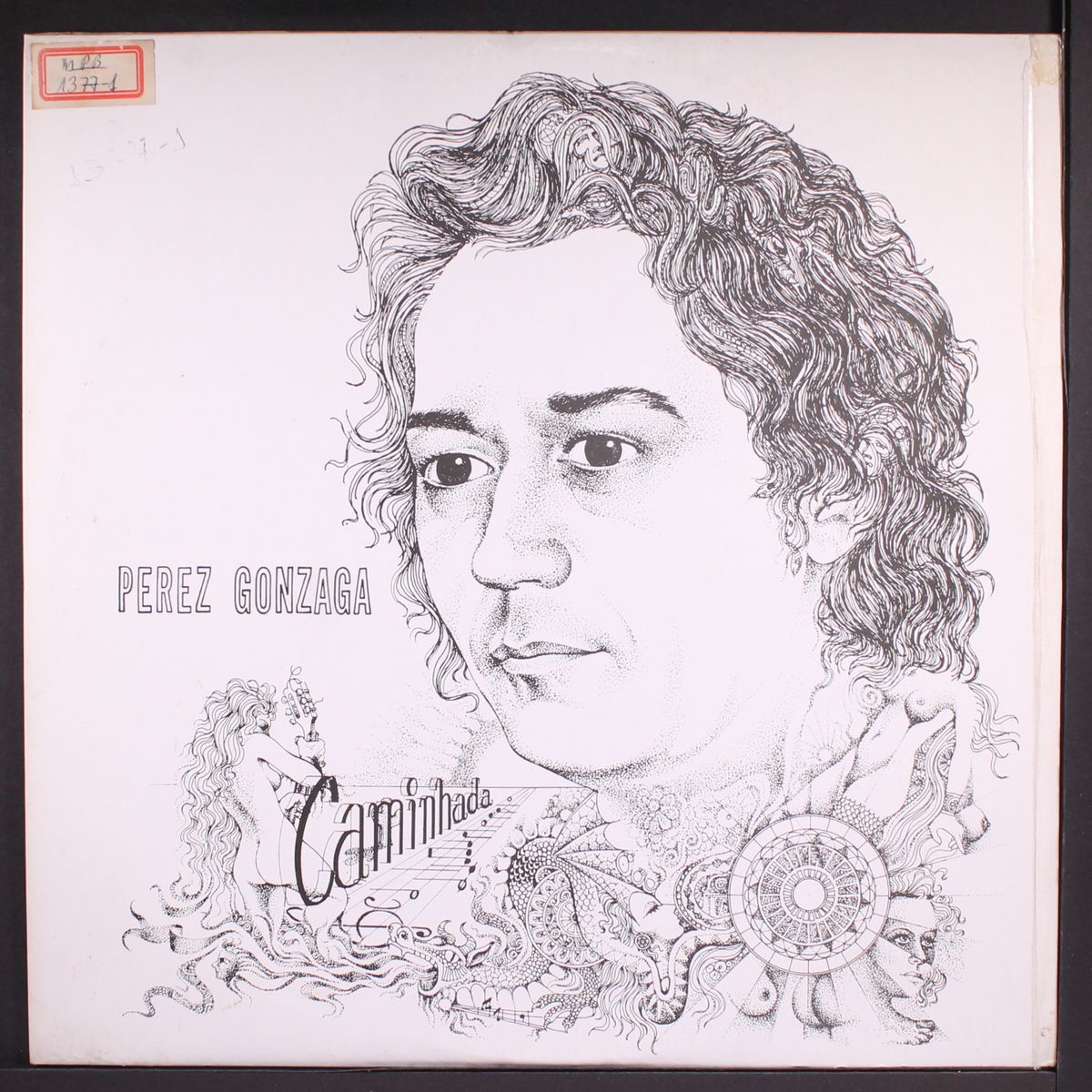 caminhada by PEREZ GONZAGA
