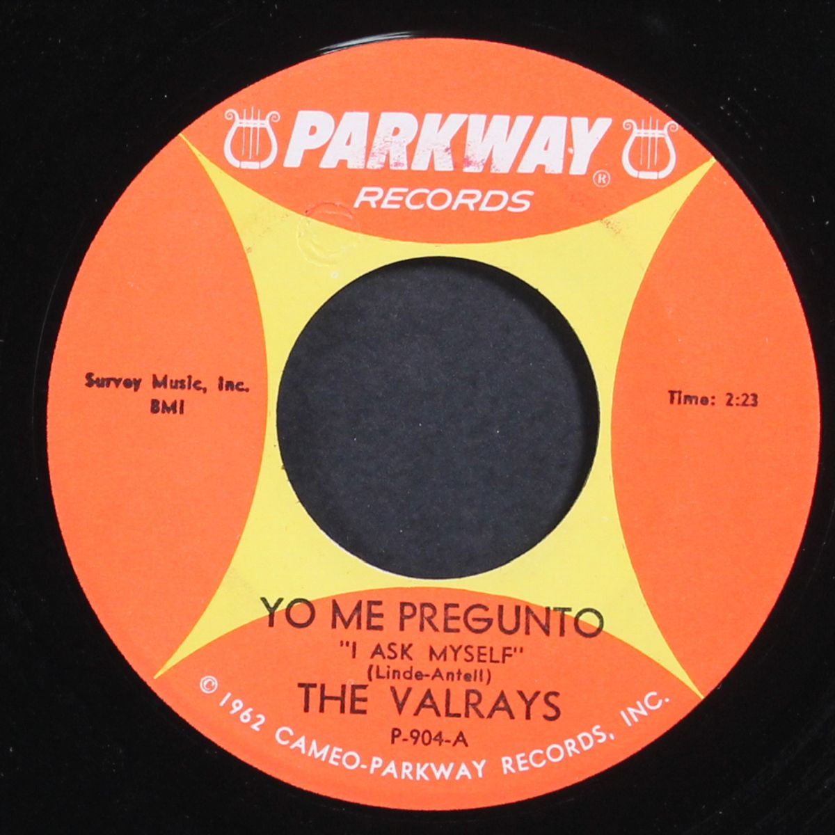 yo me pregunto / tonky by VALRAYS