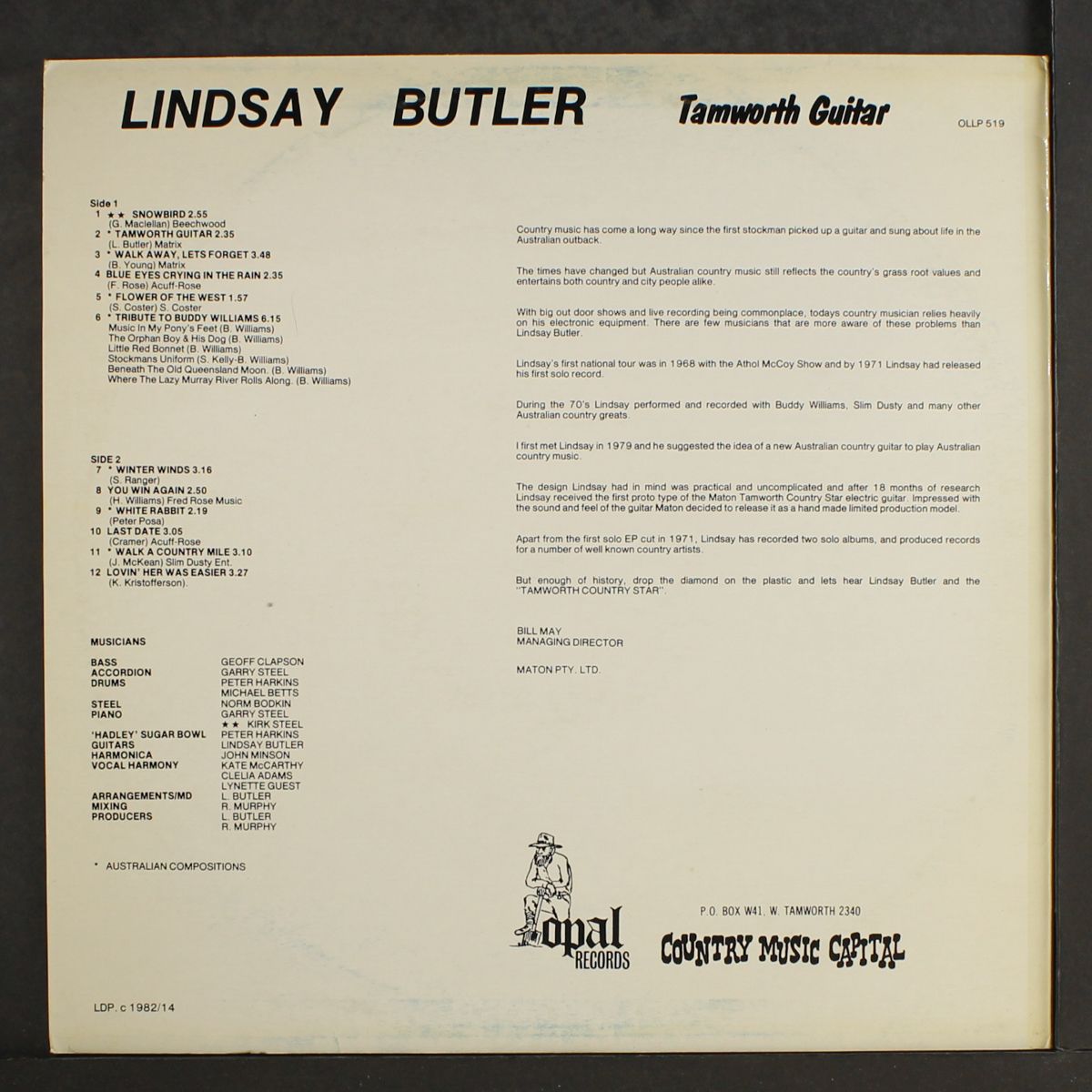 tamworth guitar by LINDSAY BUTLER