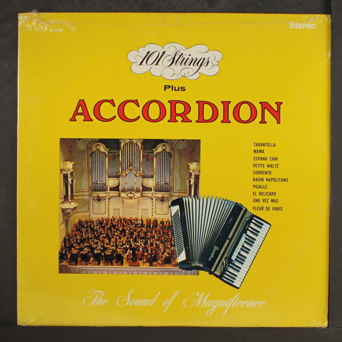 plus accordian by 101 STRINGS
