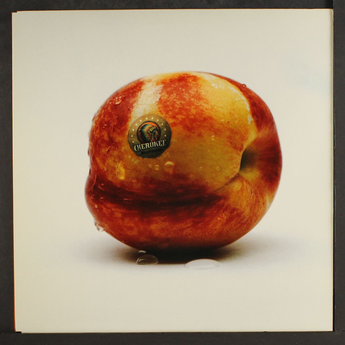 nectarine by CHEROKEE