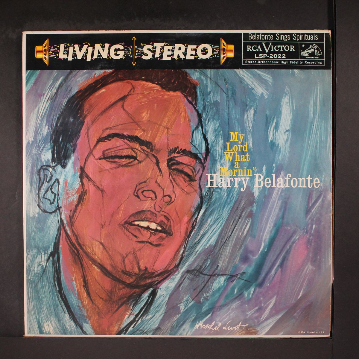 my lord what a mornin' by HARRY BELAFONTE