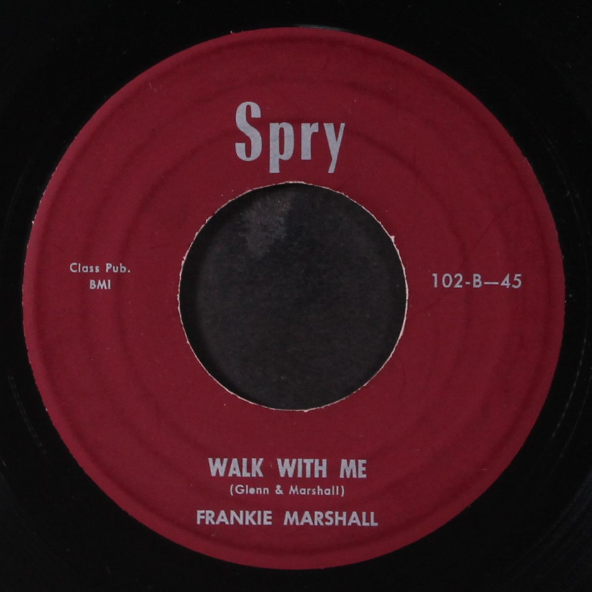 walk with me / remembrance by FRANKIE MARSHALL