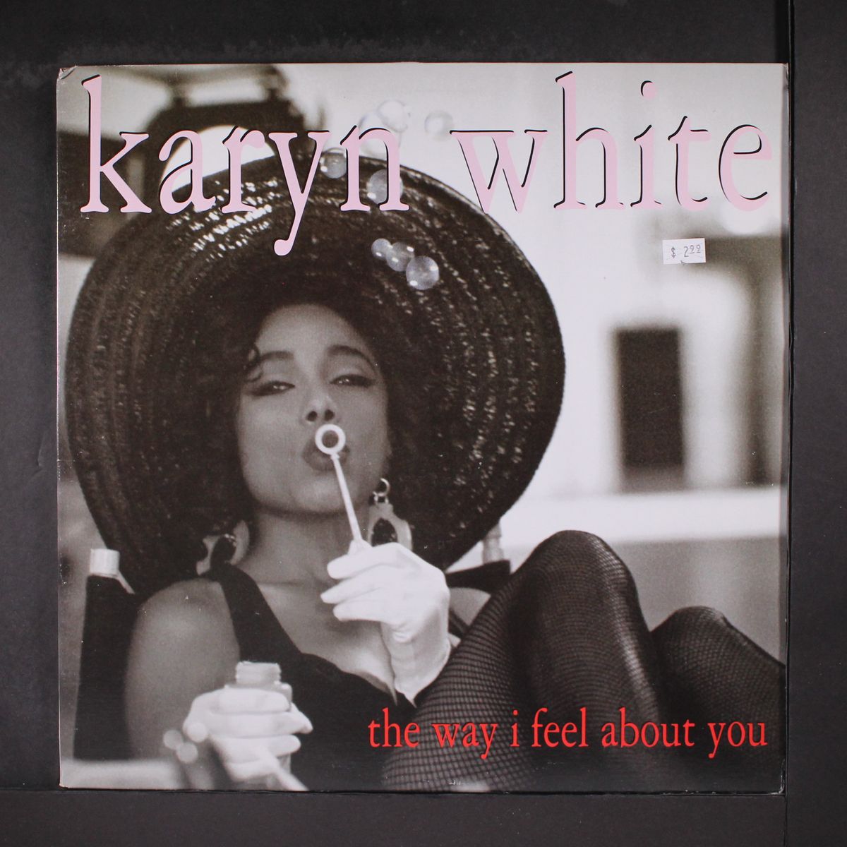the way i feel about you by KARYN WHITE