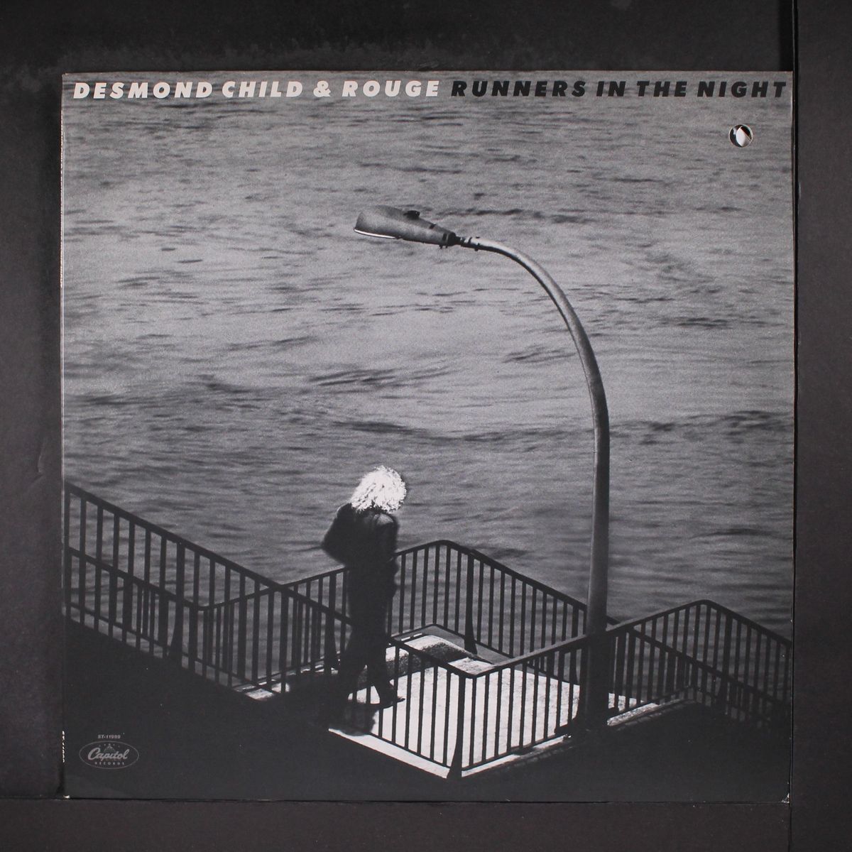 runners in the night by DESMOND CHILD & ROUGE
