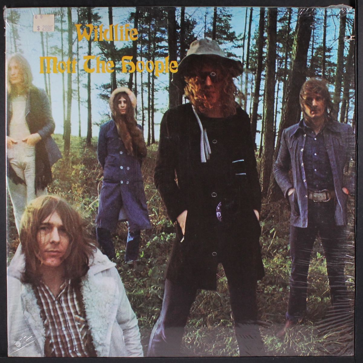 wildlife by MOTT THE HOOPLE