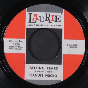 PEANUTS HUCKO