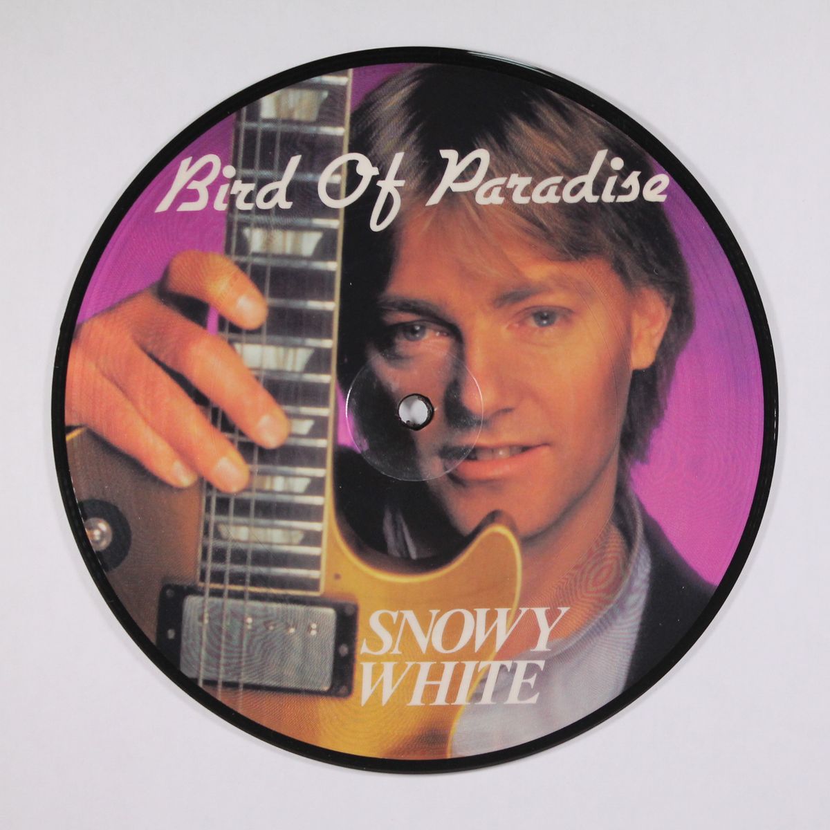 bird of paradise / the answer by SNOWY WHITE