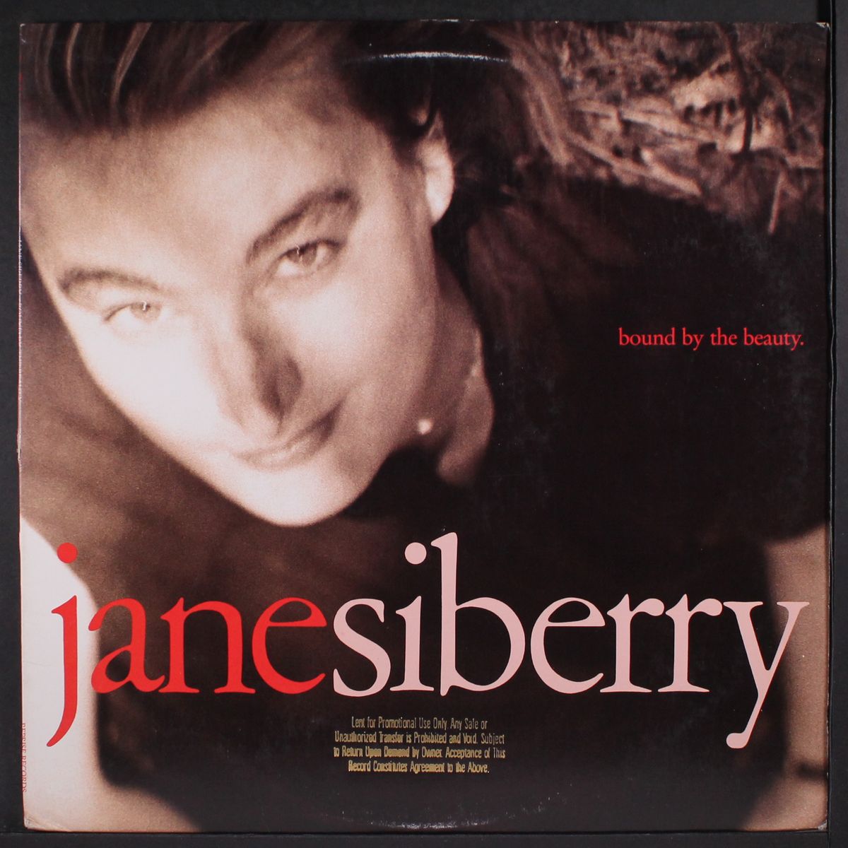 bound by the beauty by JANE SIBERRY