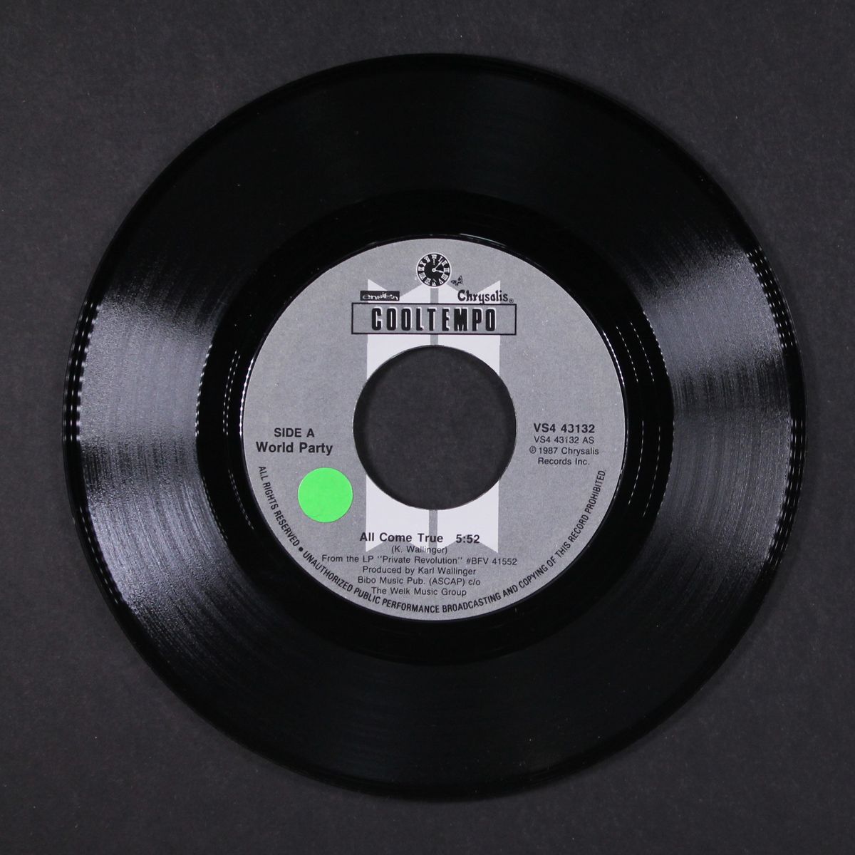 all come true / world groove by WORLD PARTY