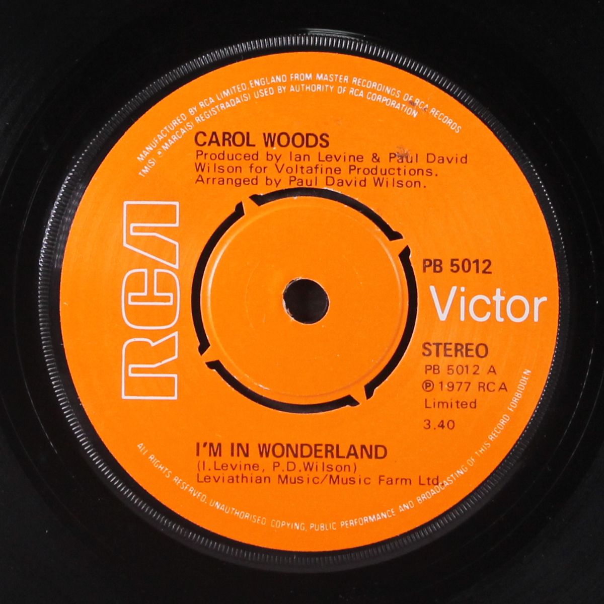 i'm in wonderland by CAROL WOODS