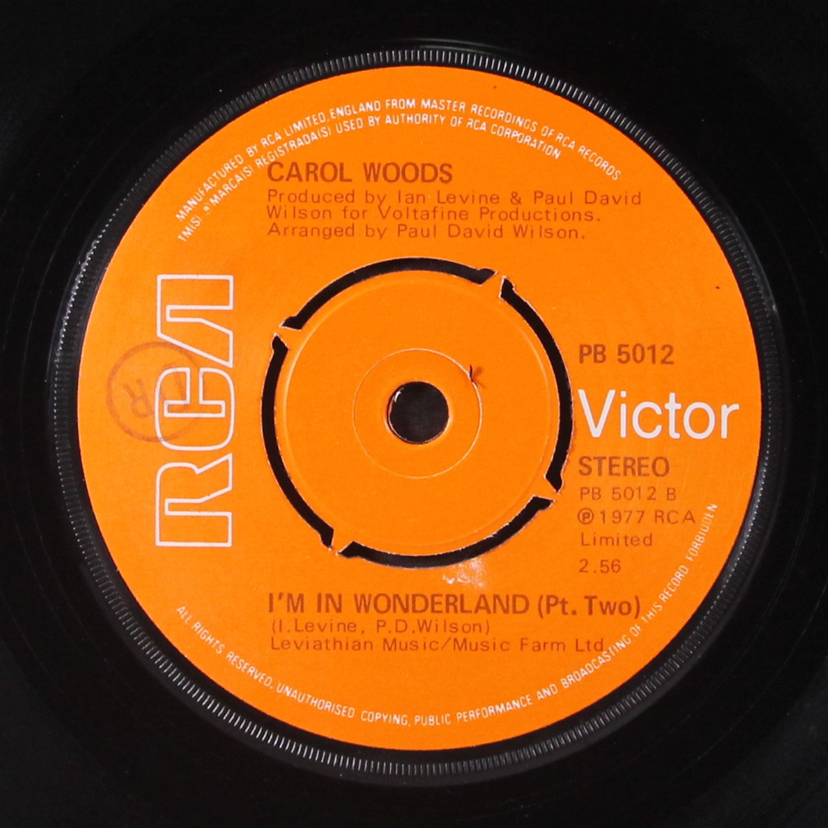 i'm in wonderland by CAROL WOODS