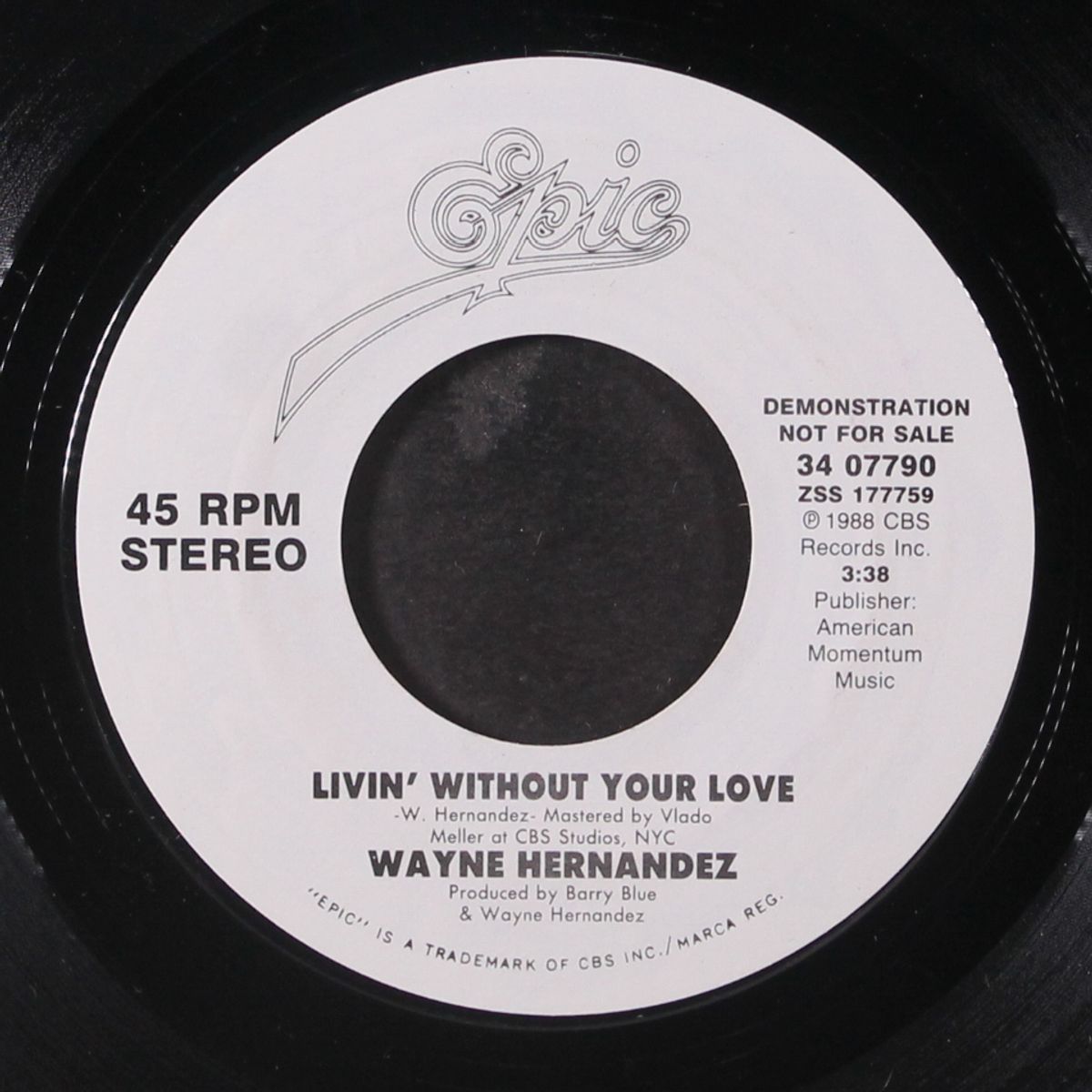 livin' without your love by WAYNE HERNANDEZ