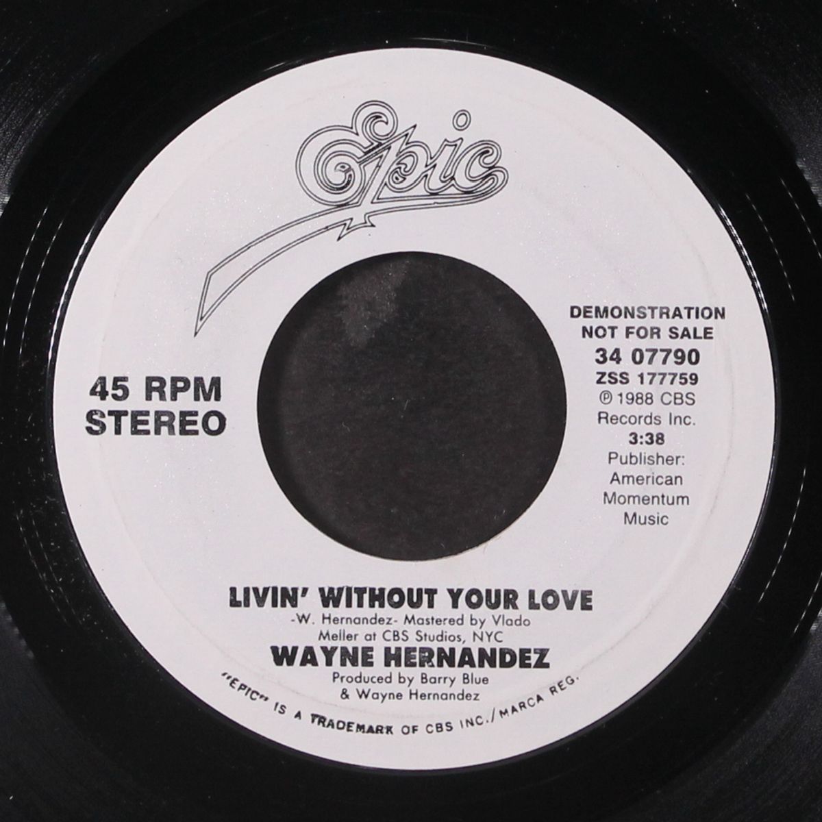 livin' without your love by WAYNE HERNANDEZ