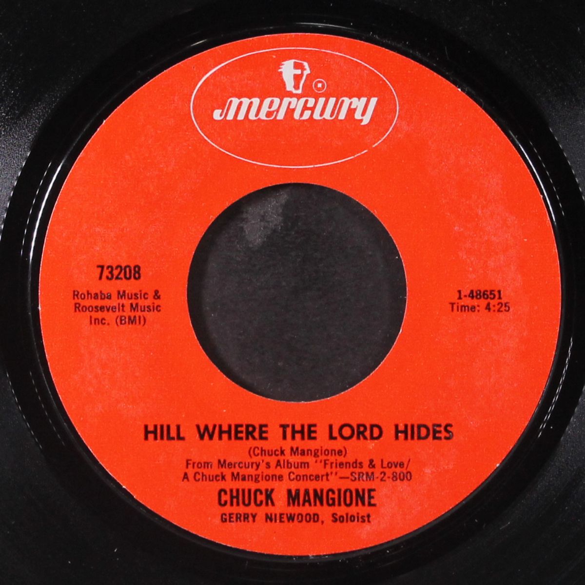 hill where the lord hides by CHUCK MANGIONE