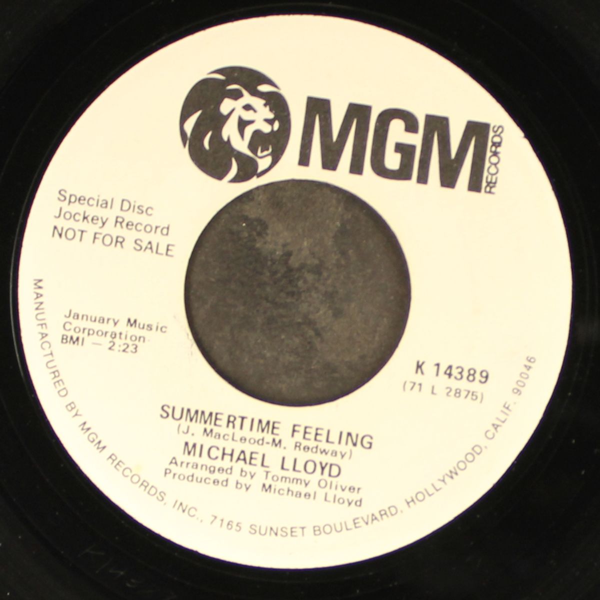 summertime feeling / i've got you you've got me by MICHAEL LLOYD