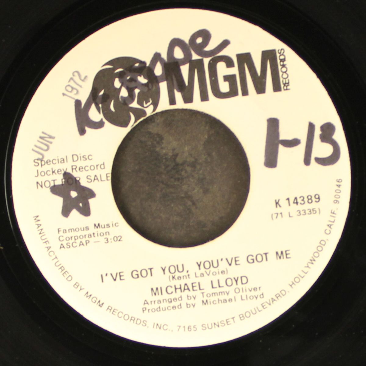 summertime feeling / i've got you you've got me by MICHAEL LLOYD