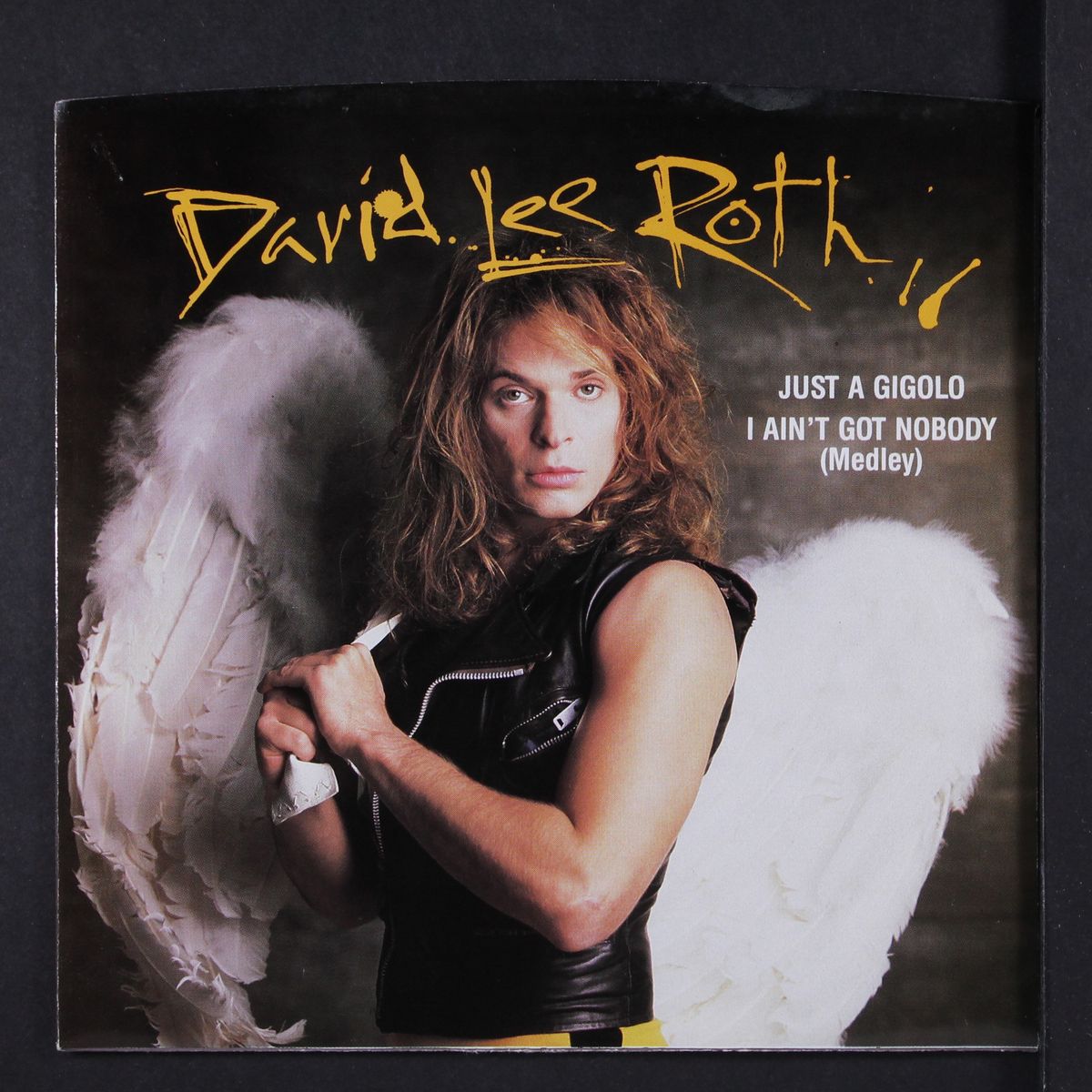 just a gigolo by DAVID LEE ROTH