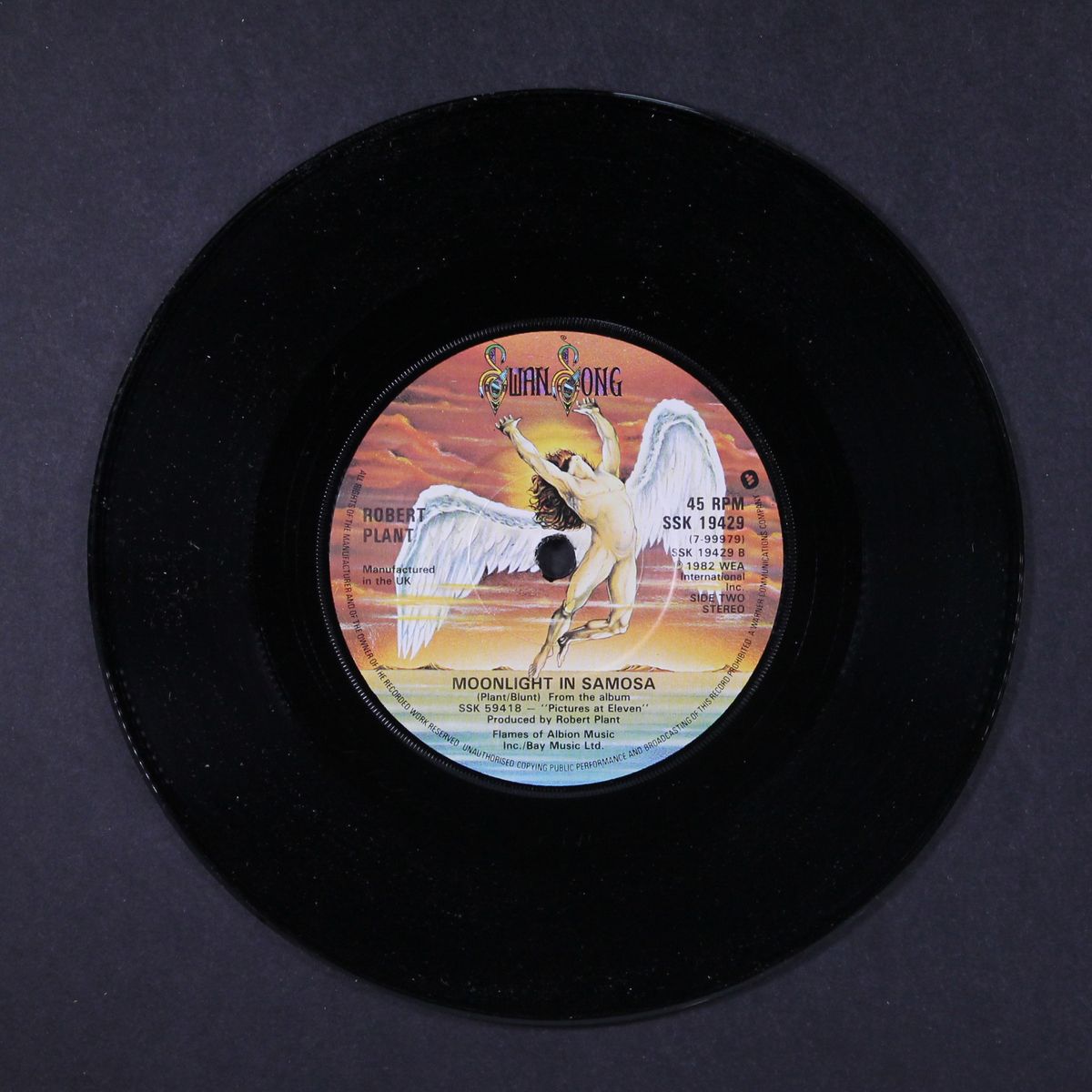 burning down one side by ROBERT PLANT