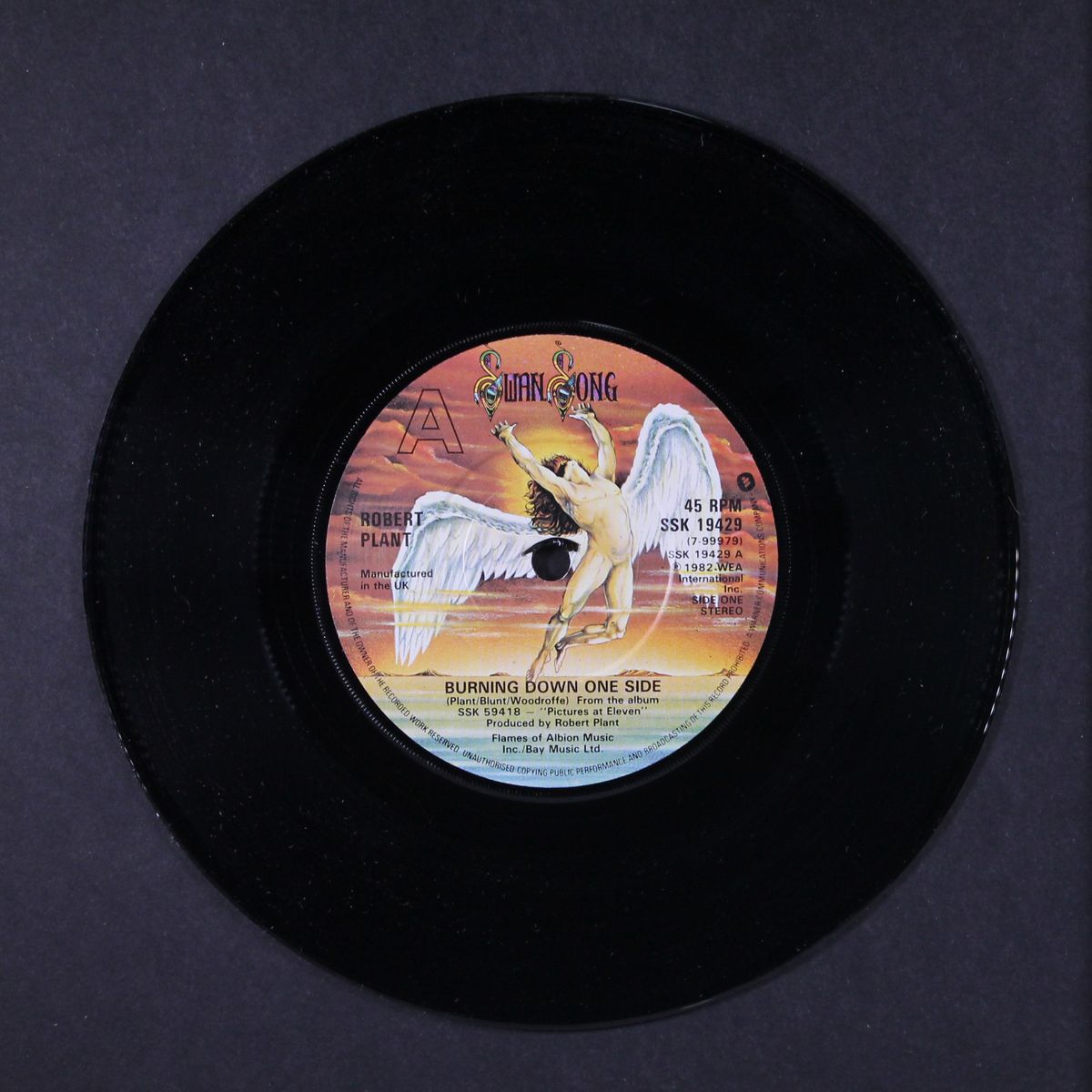 burning down one side by ROBERT PLANT