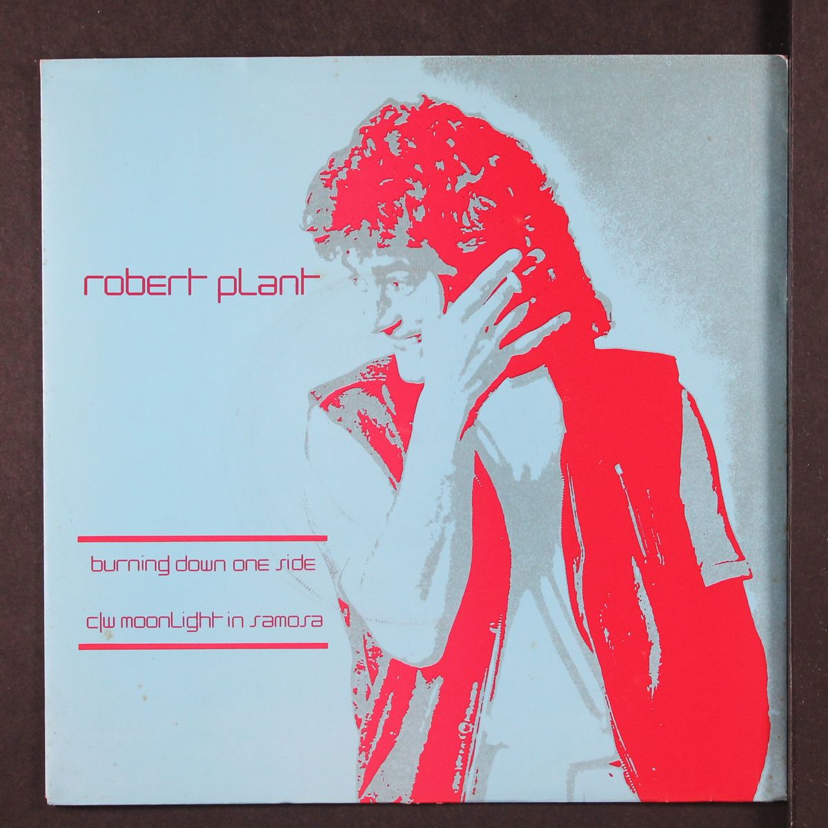 burning down one side by ROBERT PLANT