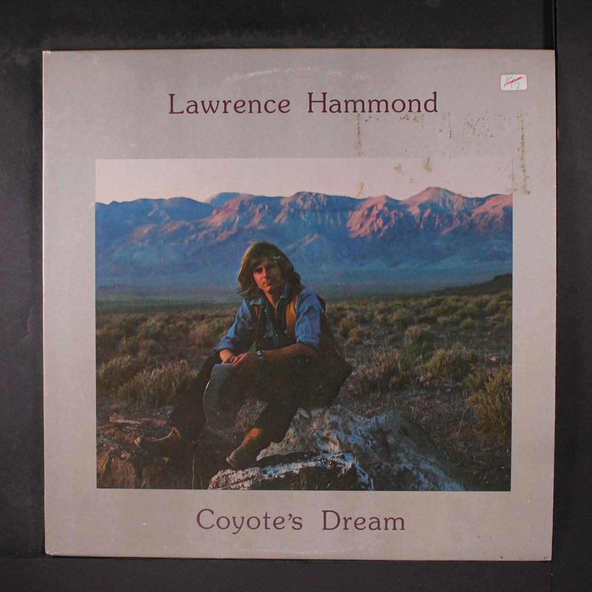 coyote's dream by LAWRENCE HAMMOND
