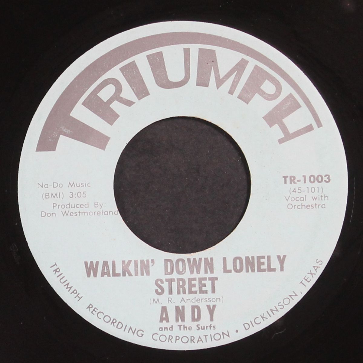 i need your love / walkin' down lonely street by ANDY & SURFS