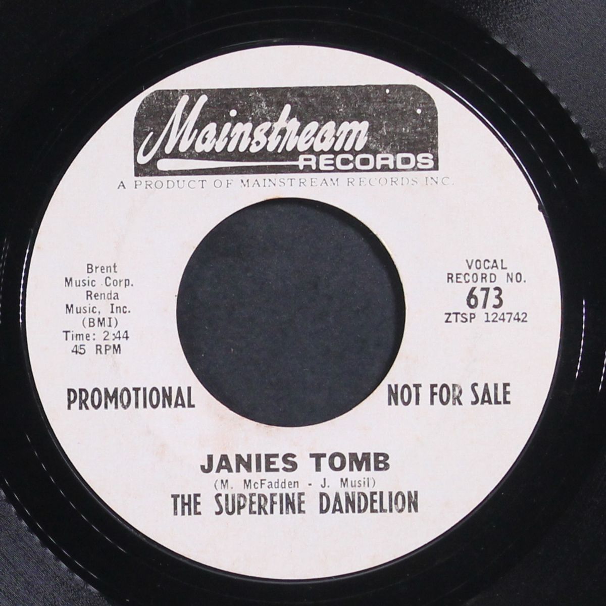 crazy town / janies tomb by SUPERFINE DANDELION
