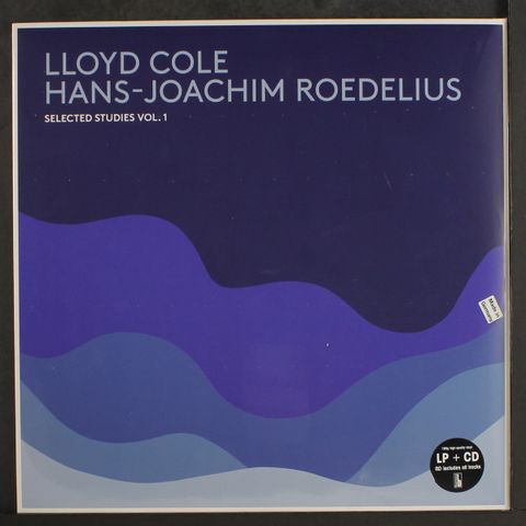 LLOYD COLE & HANS-JOACHIM ROEDELIUS