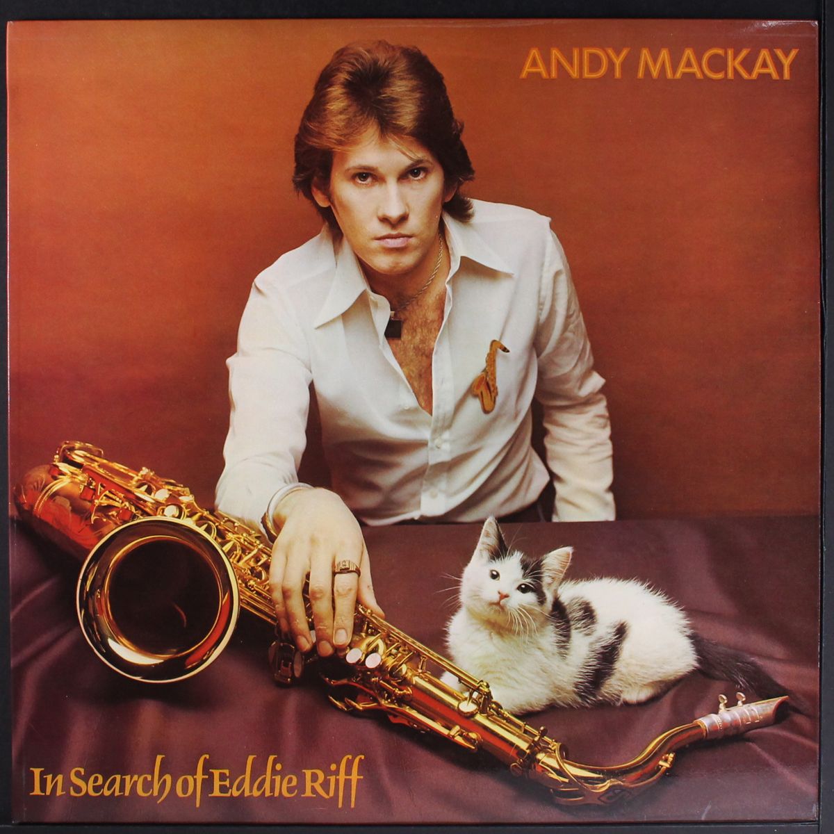 in search of eddie riff by ANDY MACKAY