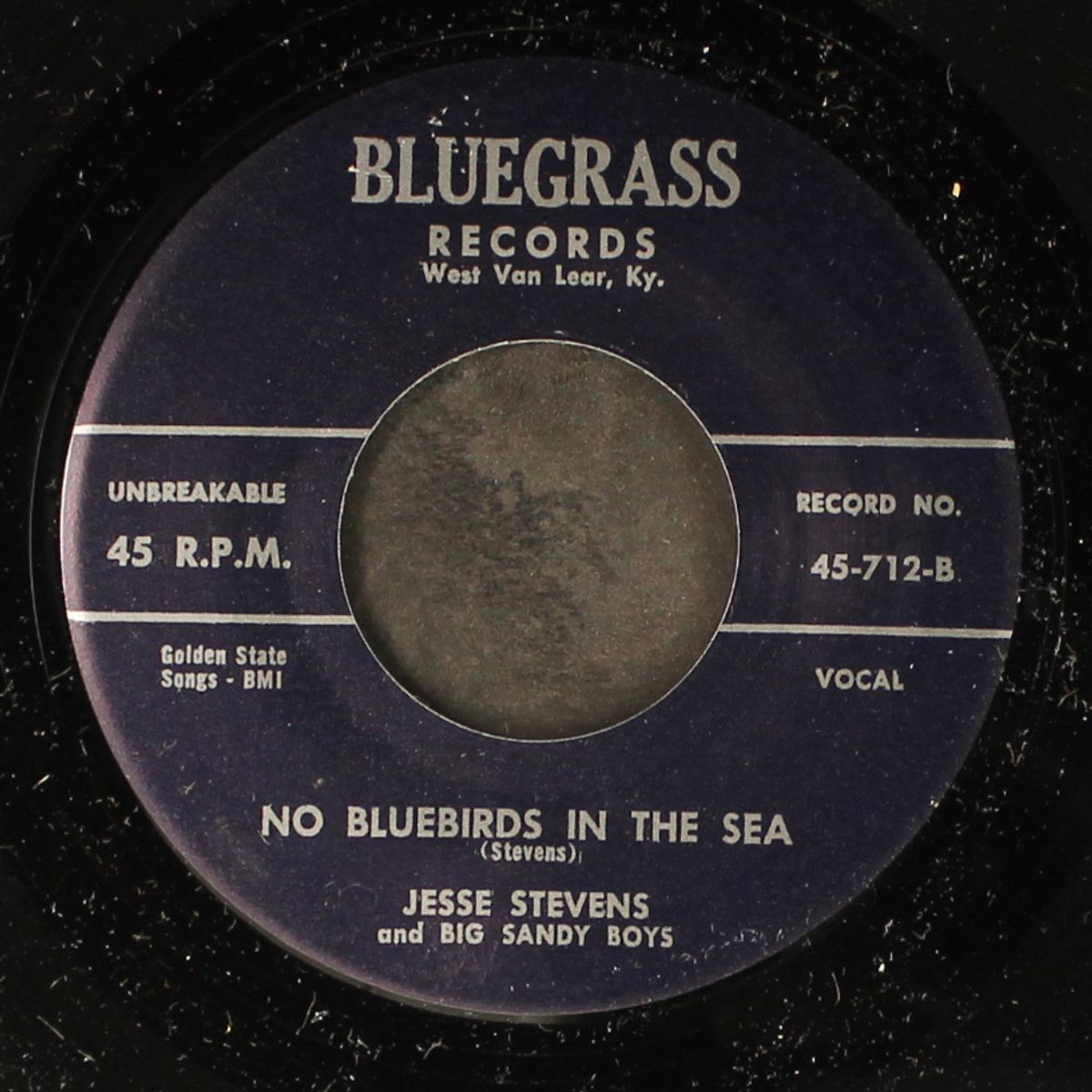 mama, mama / no bluebirds in the sea by JESSE STEVENS