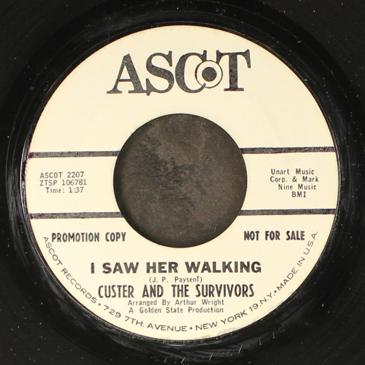 i saw her walking / flapjacks by CUSTER & THE SURVIVORS