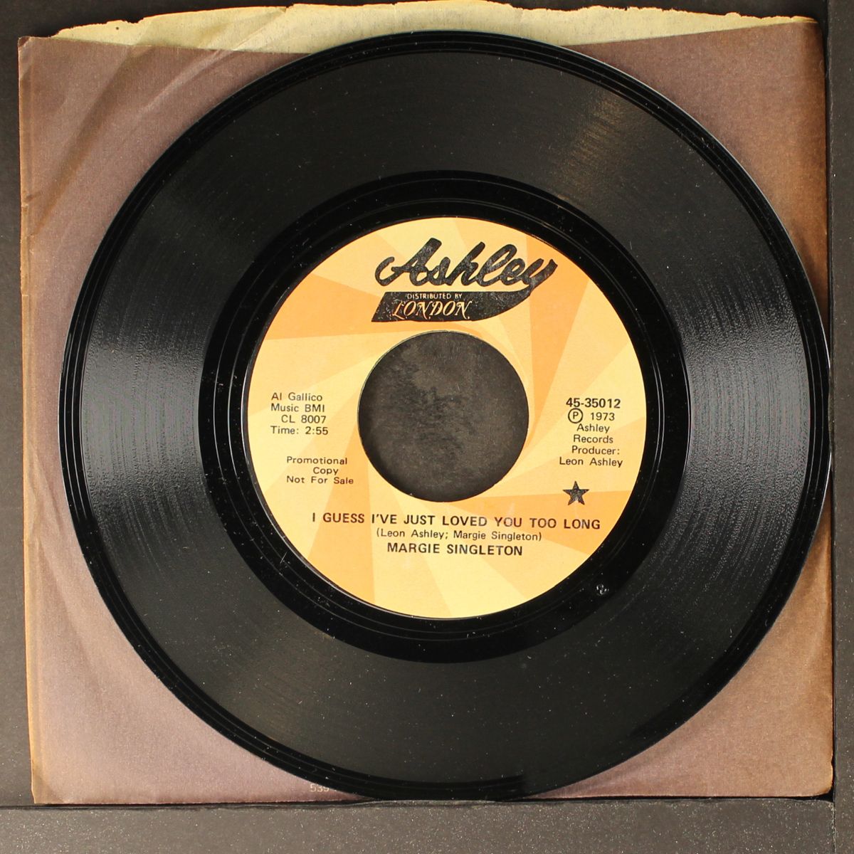 i guess i've just loved you too long / the well's not dry by MARGIE SINGLETON