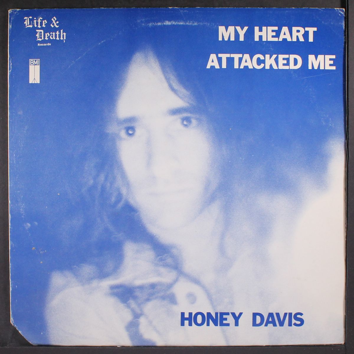 my heart attacked me by HONEY DAVIS