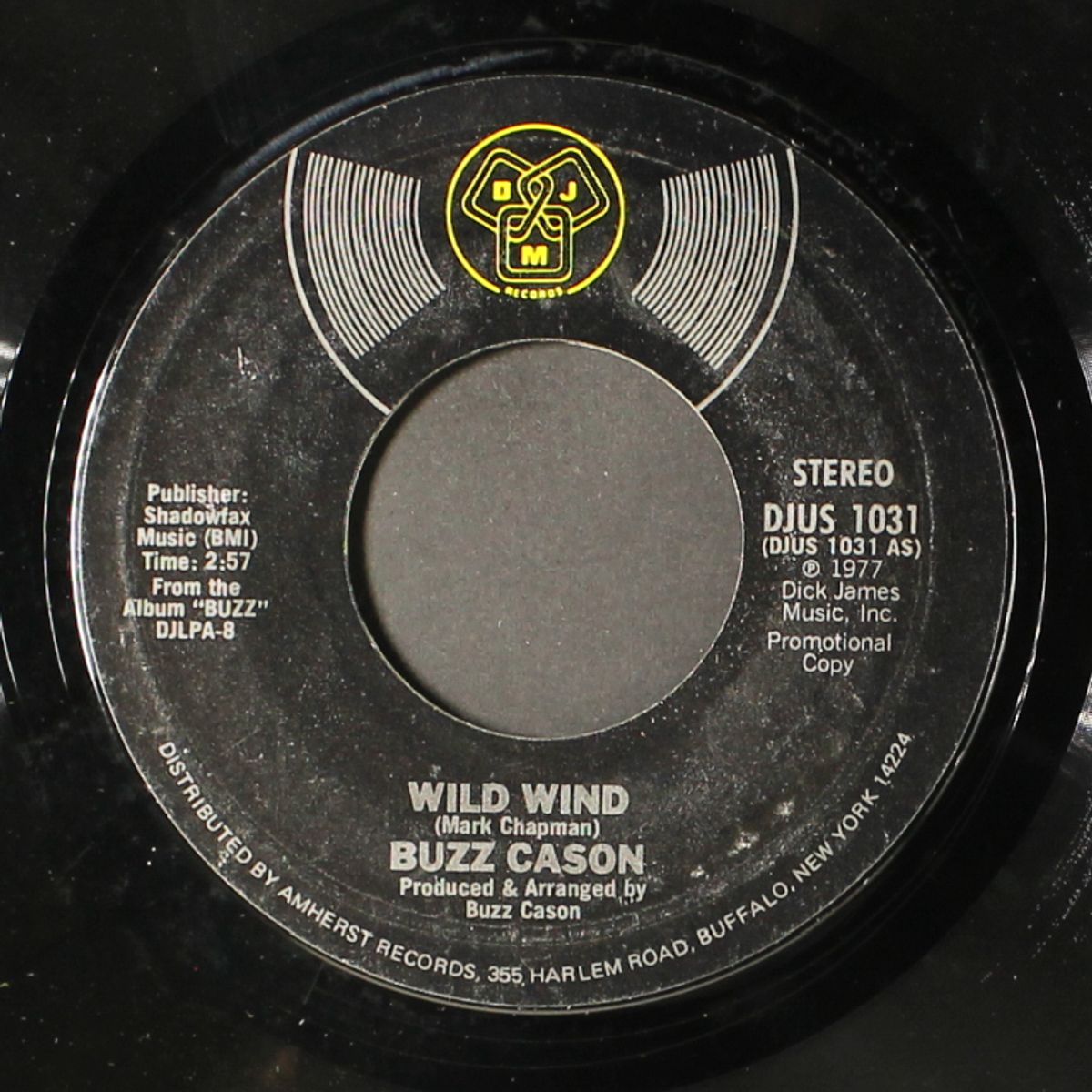 wild wind by BUZZ CASON