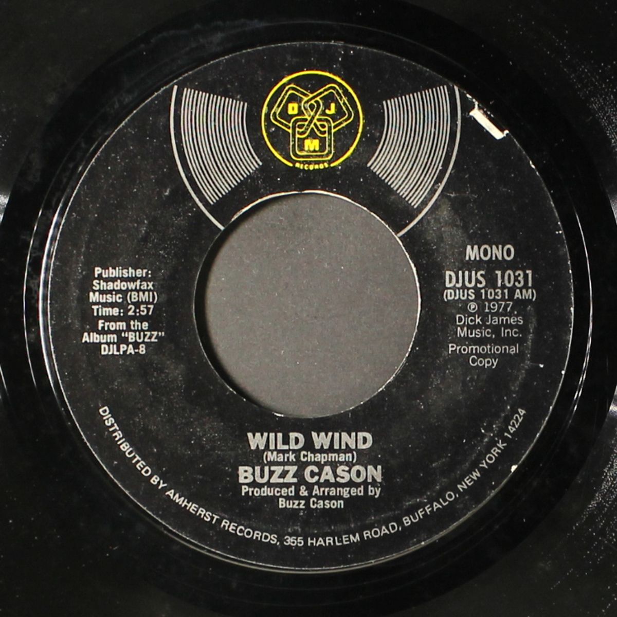 wild wind by BUZZ CASON