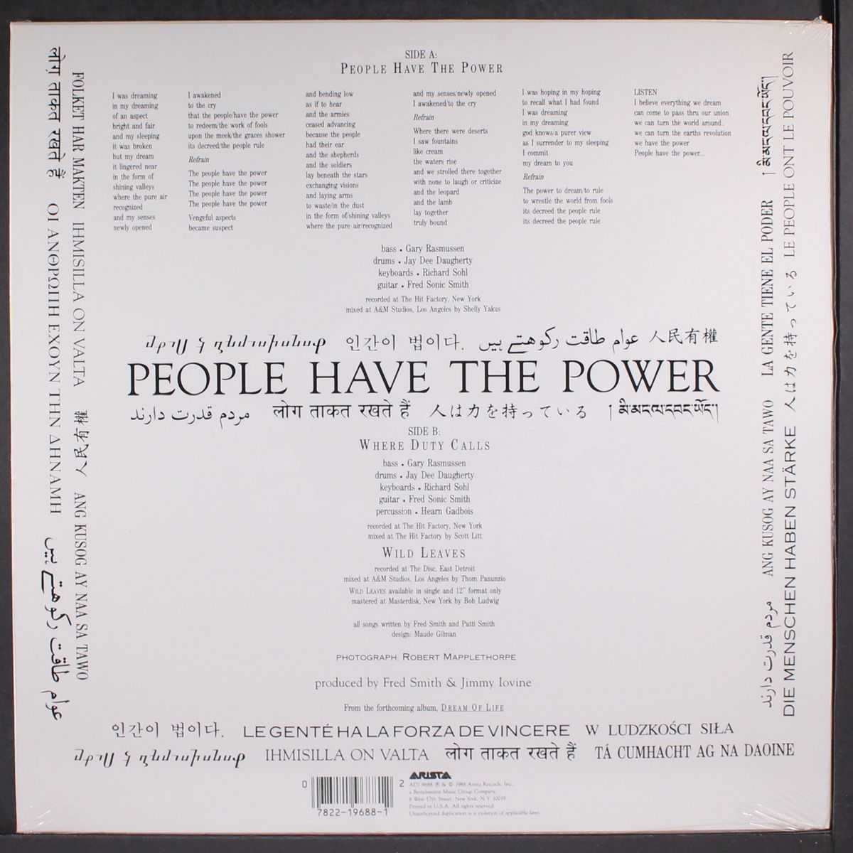 people have the power / where duty calls / wild leaves by PATTI SMITH
