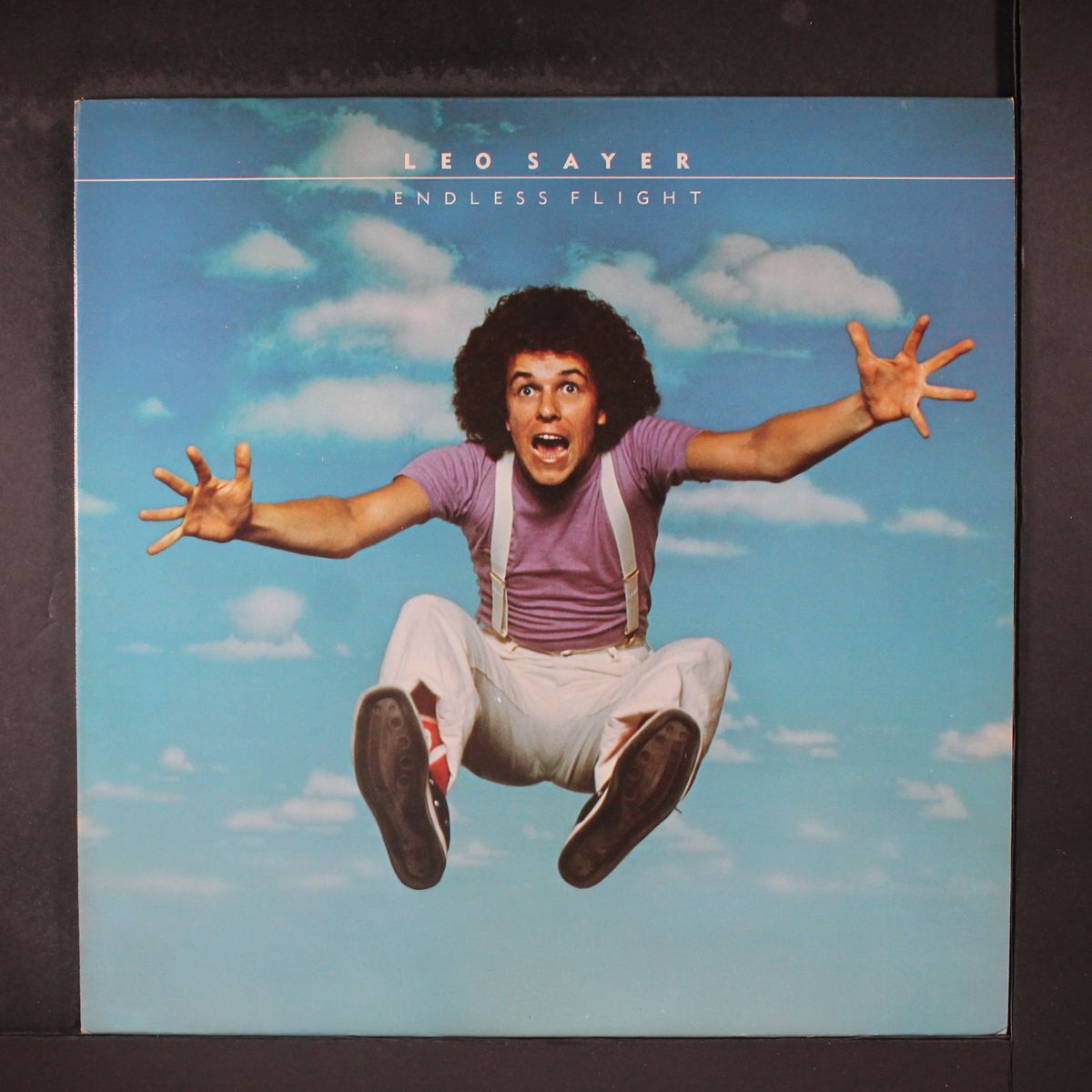 endless flight by LEO SAYER