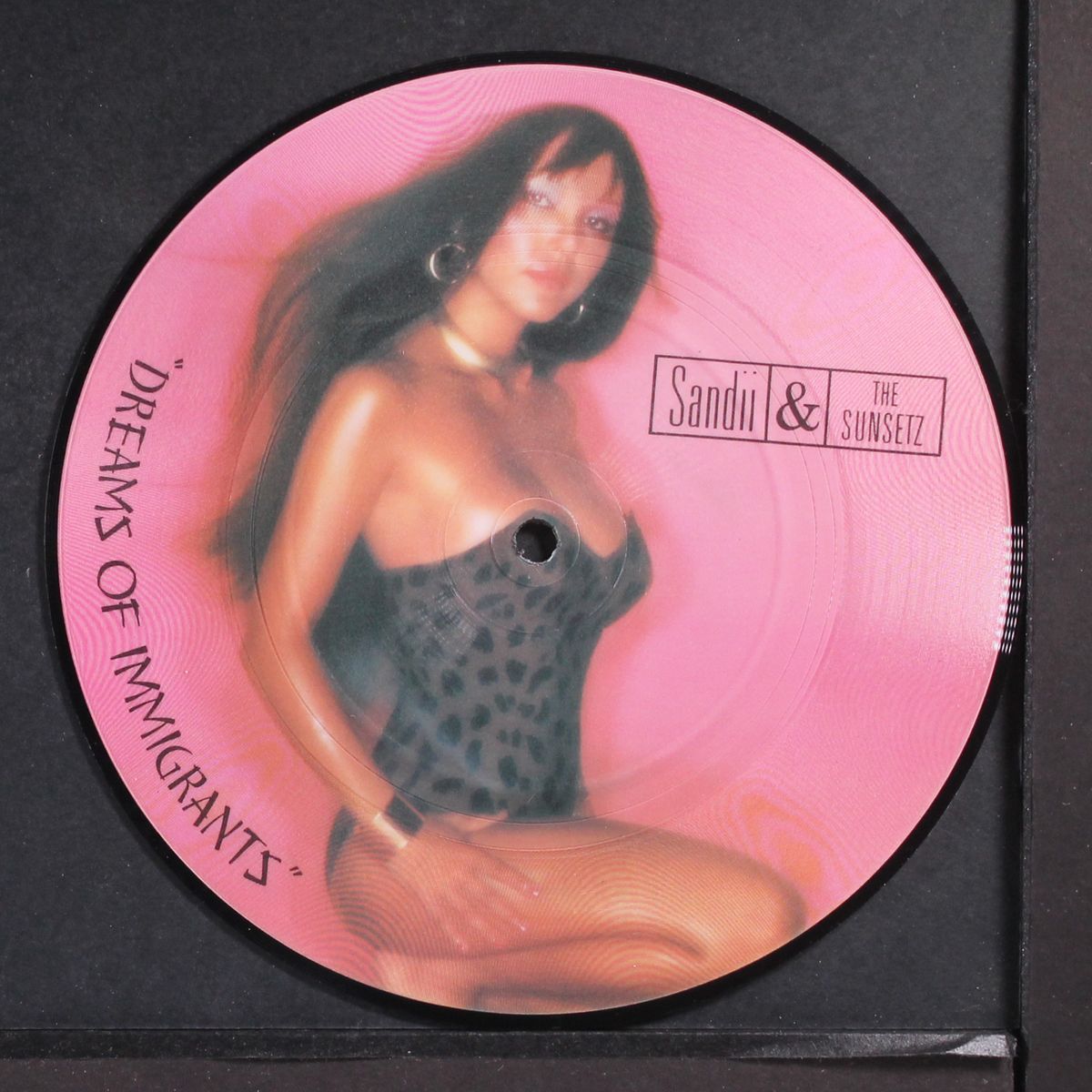 dreams of immigrants by SANDII & THE SUNSETZ