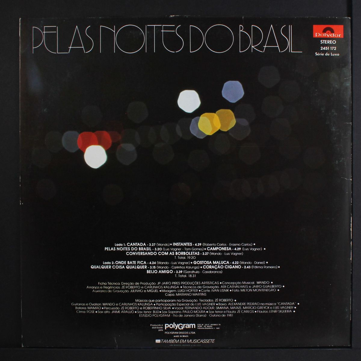 pelas noites do brasil by WANDO