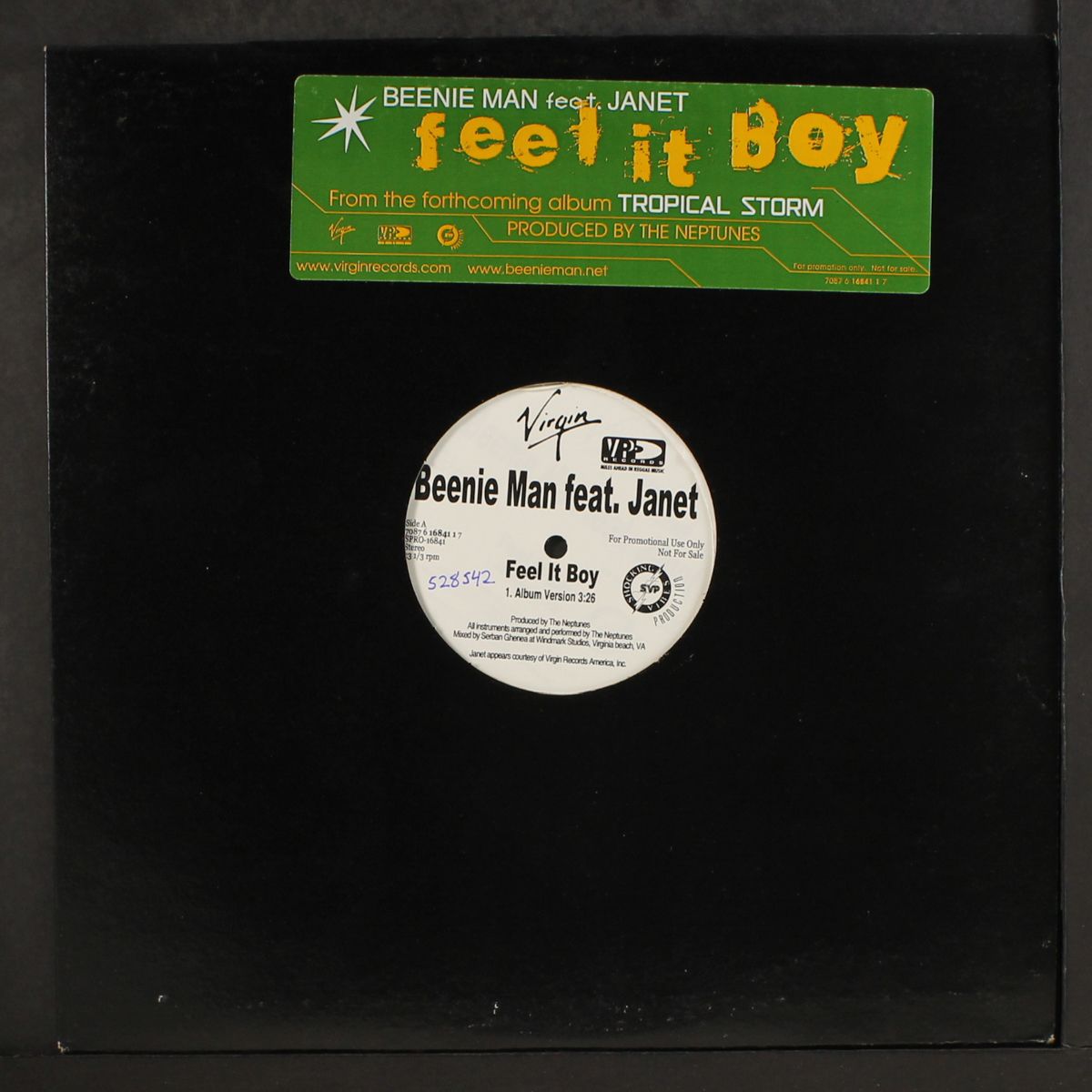 feel it boy by BEENIE MAN