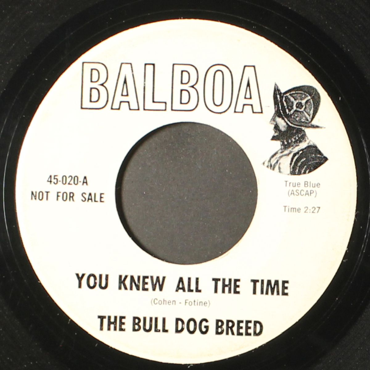 you knew all the time by BULL DOG BREED