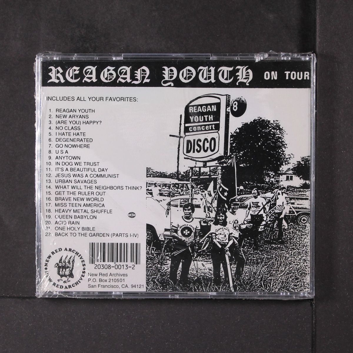a collection of pop classics by REAGAN YOUTH
