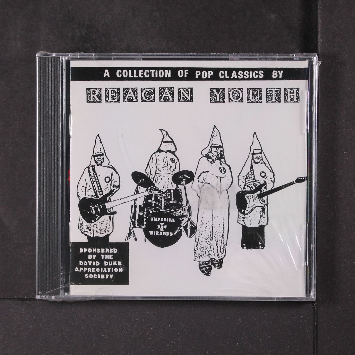 a collection of pop classics by REAGAN YOUTH