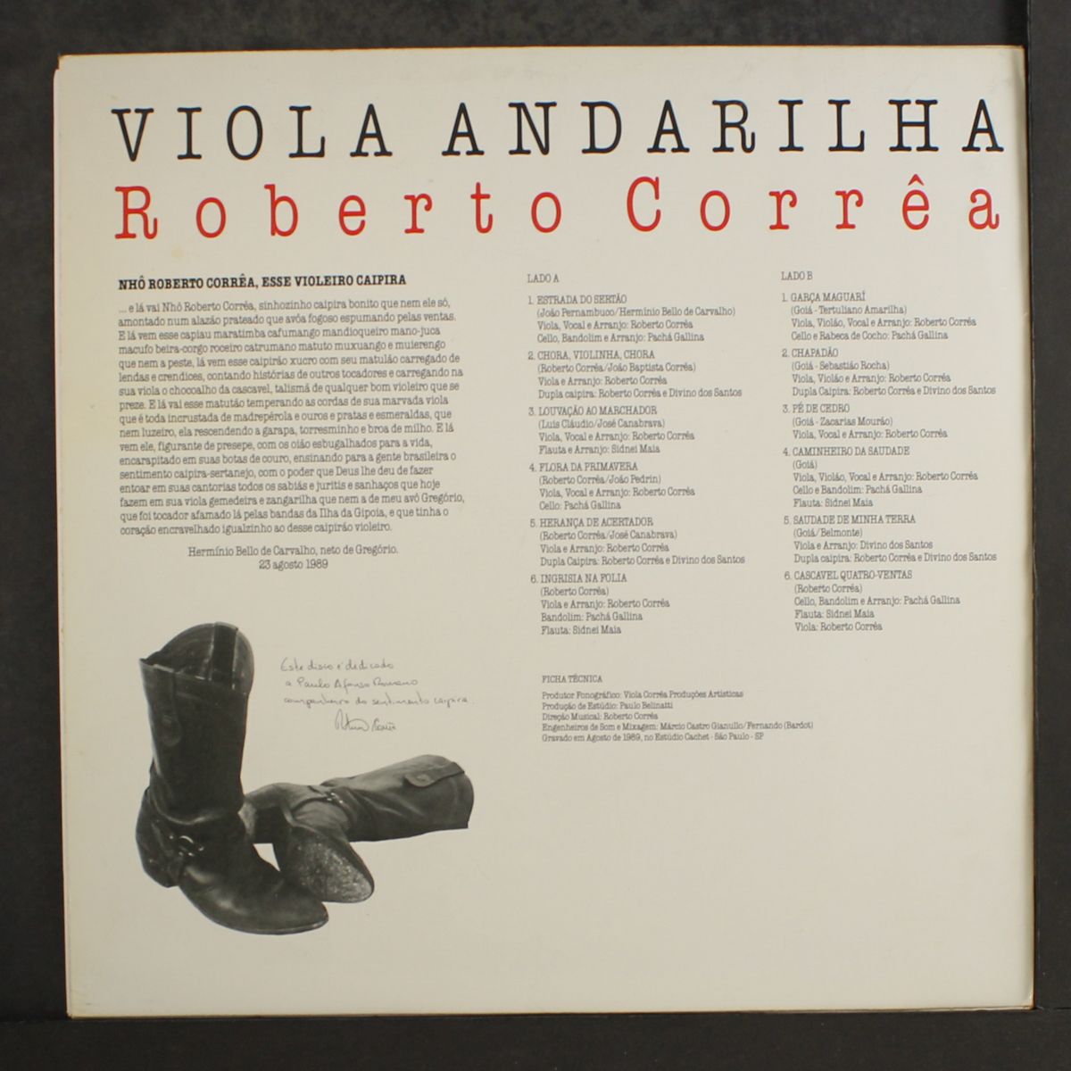 viola andarilha by ROBERTO CORREA
