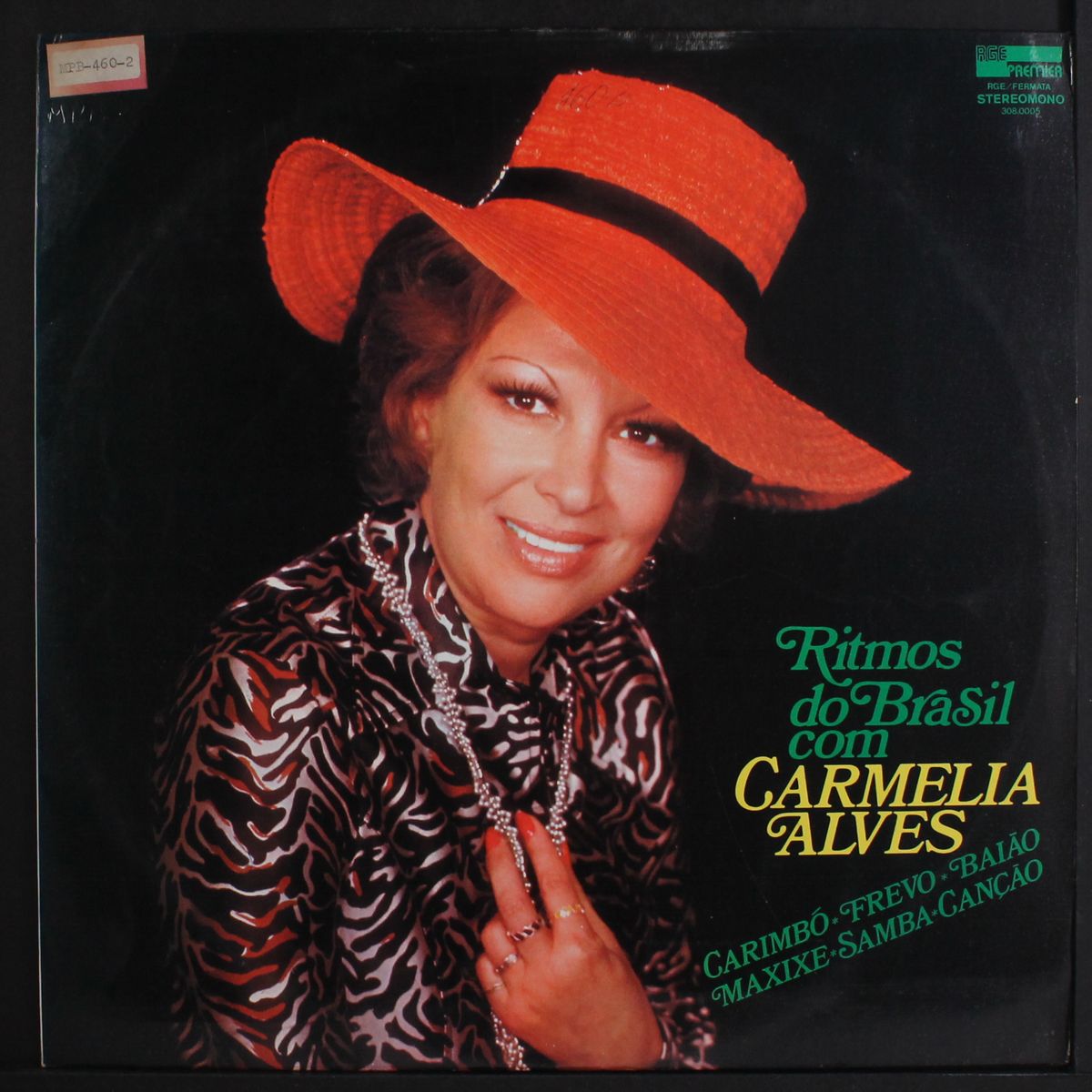 ritmos do brasil by CARMELIA ALVES