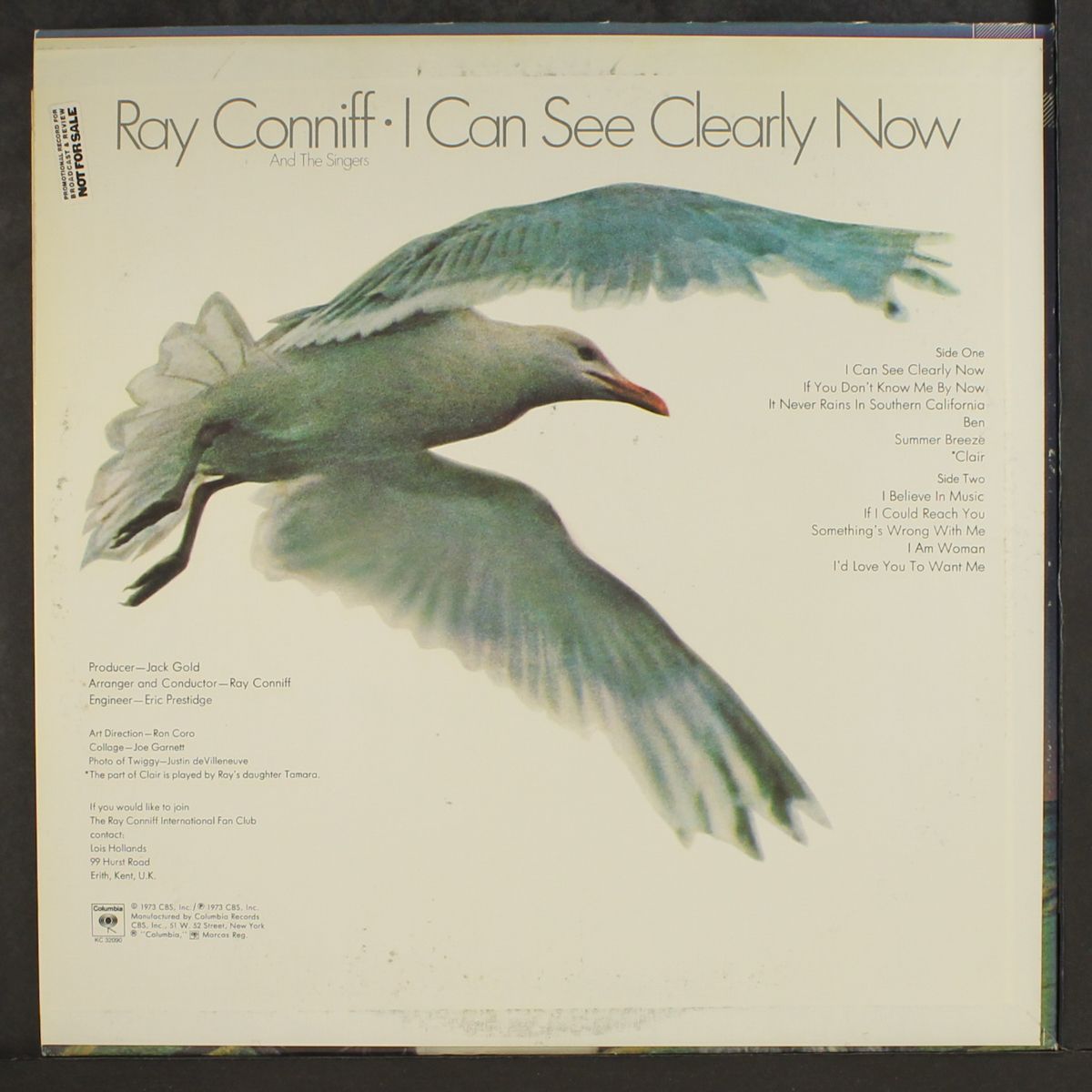 i can see clearly now by RAY CONNIFF