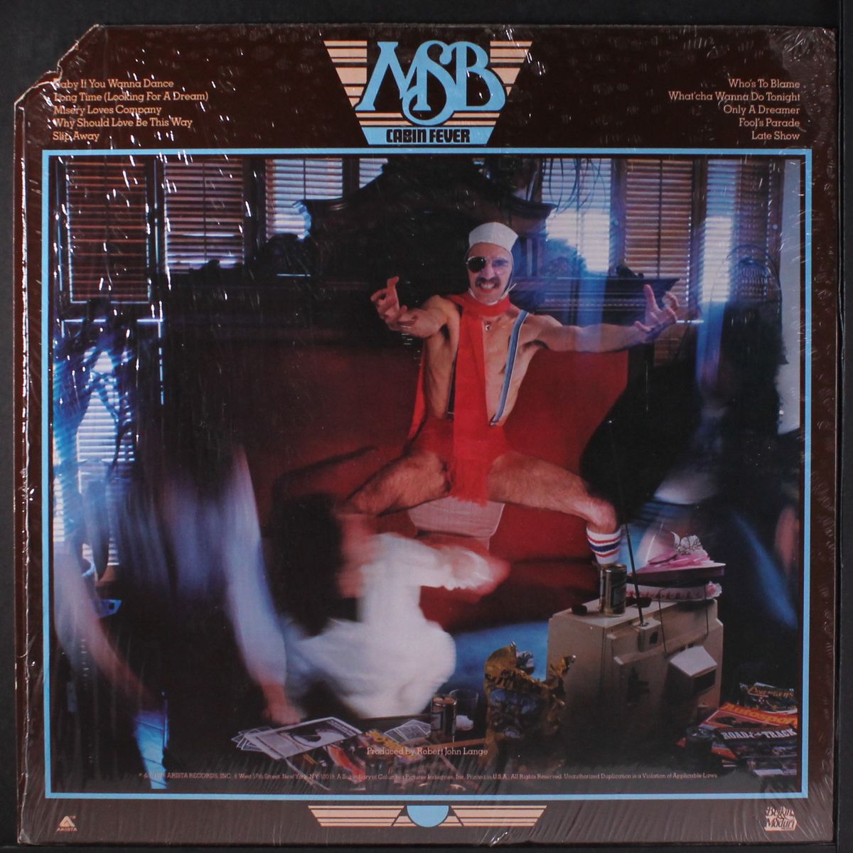 cabin fever by MICHAEL STANLEY BAND